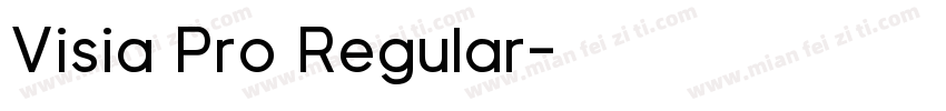 Visia Pro Regular字体转换